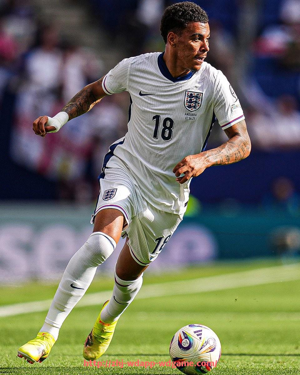 问鼎娱乐官网-世俱杯比赛观众交通疏散图设计规范及应急预案